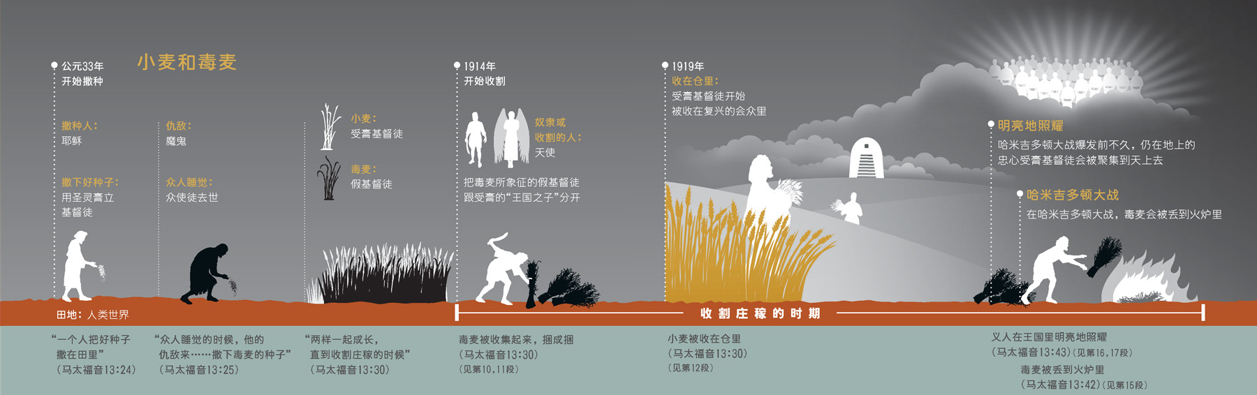 了解耶稣的小麦和毒麦比喻 研读版 了解耶稣的小麦和毒麦比喻 研读版