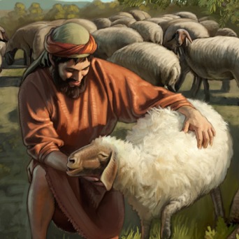 Obey Jehovah’s Shepherds | Study