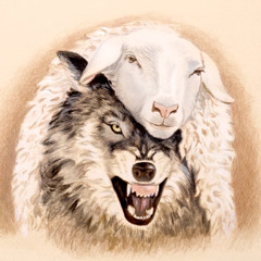 Un lobo cubierto con una piel de oveja