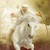 Jesus and his angels ride on white horses at Armageddon