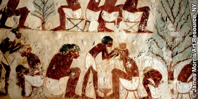 An ancient Egyptian wall painting that shows a barber at work