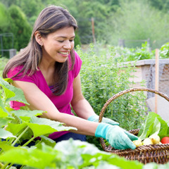 女性が家庭菜園で働いている