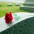A red rose on top of a tombstone
