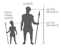 Minganpi Goliath i a tung le zaran ralkap pakhat i a tung tahchunhmi