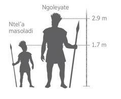 A scale model of the giant Goliath compared to an average soldier