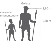 Kisarisary mampitaha an’​i Goliata amin’​ny miaramila iray antonontonony