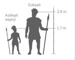 Kulandanya msingu wa Goliyati ni wa asilikali ŵajinji