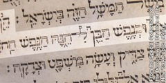 Ezechiele 18:4 nella Bibbia in ebraico di Hutter
