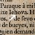 El nombre de Dios en español en la versión de la Biblia Reina-Valera