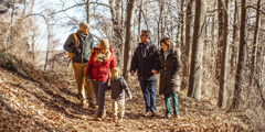 Un grupo de personas caminando por el bosque y disfrutando de la naturaleza