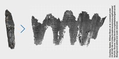 焦黑的恩戈地残片；通过电脑技术“展开”的恩戈地残片