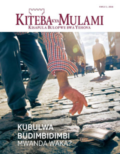 Kiteba kya Mulami, No. 1 2016 | Kubulwa Budimbidimbi—Mwanda Waka?