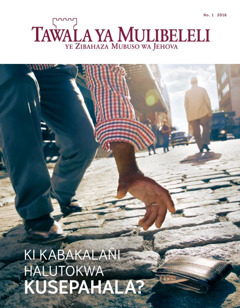 Likepe la fahalimu la magazini ya Tawala ya Mulibeleli ya January 2016 | Ki Kabakalañi Halutokwa Kusepahala?