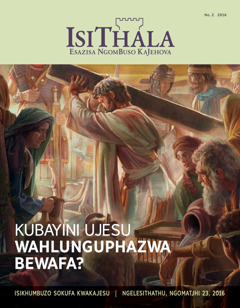 IsiThala, No. 2 2016 | Kubayini UJesu Wahlunguphazwa Bewafa?