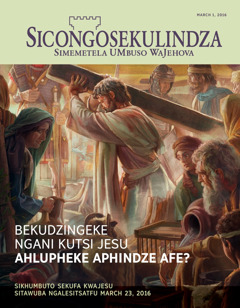 Sicongosekulindza magazine, No. 2 2016 | Bekudzingeke Ngani Kutsi Jesu Ahlupheke Aphindze Afe?