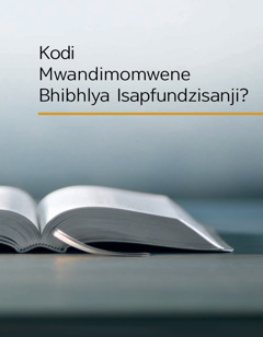 Kodi Mwandimomwene Bhibhlya Isapfundzisanji?