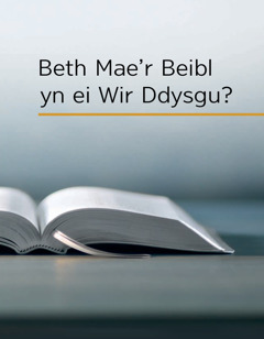 Beth Mae’r Beibl yn ei Wir Ddysgu?