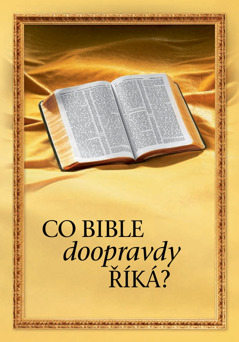 Co Bible doopravdy říká?