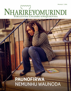 Nharireyomurindi Nhamba 3 2016 | Paunofirwa Nemunhu Waunoda