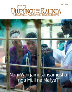 Ulupungu lwa kwa Kalinda Na. 5 2016 | Nani Wingamusansamusha nga Muli na Mafya?