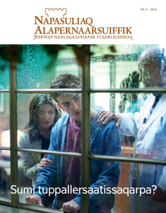 Napasuliaq Alapernaarsuiffik nr. 5 2016 | Sumi tuppallersaatissaqarpa?