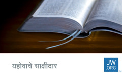 jw.org संपर्क कार्डवर बायबलचं चित्र