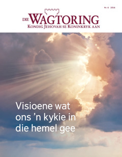 Die Wagtoring Nr. 6 2016 | Visioene wat ons ’n kykie in die hemel gee