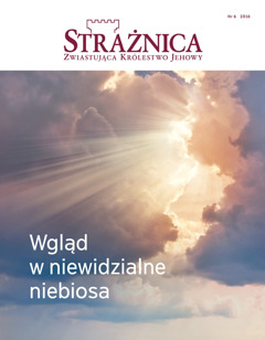 Strażnica nr 6 z roku 2016 | Wgląd w niewidzialne niebiosa