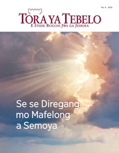 Tora ya Tebelo No. 6 2016 | Se se Diregang mo Mafelong a Semoya