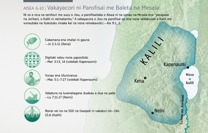 Vakayacori na Parofisai Vua na Mesaia