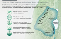 Waakhwanela wa Iprofesia Saamuhimya Mesiya