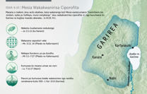 Mesia Wakakwanirisa Ciporofita