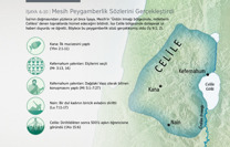 Mesih Peygamberlik Sözlerini Gerçekleştirdi