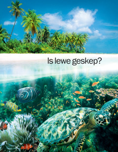 Is lewe geskep?