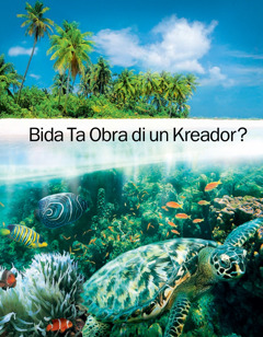 Bida Ta Obra di un Kreador?