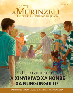 A Murinzeli, N.° 2 WA 2017 | U ta xi amukela a xinyikiwo xa hombe xa Nungungulu?