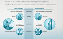 Diosmi profetizaran mosoq rimanakuymanta