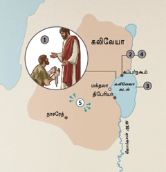 கலிலேயாவில், இயேசு மக்களைக் குணப்படுத்திய நகரங்கள்