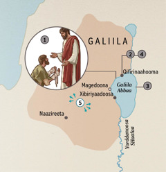 Yesuusi harggida asata pattido Galiila katamaa