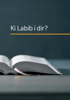 Ki Labib i dir?