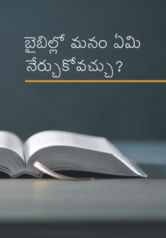 బైబిల్లో మనం ఏమి నేర్చుకోవచ్చు?