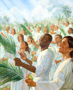 A great crowd dressed in white robes with palm branches in their hands