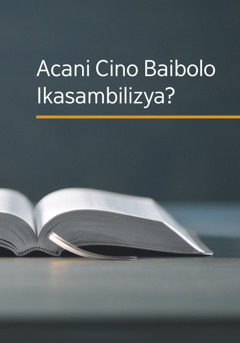 Ibuku lya kuti ‘Acani Cino Baibolo Ikasambilizya?’