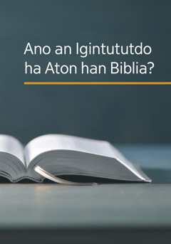 An libro nga ‘Ano an Igintututdo ha Aton han Biblia?’