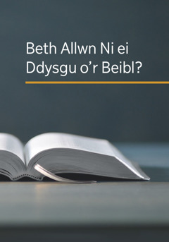 Y llyfr ‘Beth Allwn Ni ei Ddysgu o’r Beibl?’