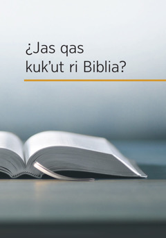 Ri wuj ¿Jas qas kukʼut ri Biblia?