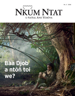 ‘Nkum Ntat’ No. 3 2018.