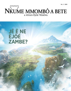 ‘Ô momo’ Nomo 2 ye mbu 2020 a ne nlô adzô naa ‘Dz’é ne é Djiè Nzame?’