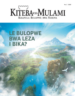 ‘Kiteba kya Mulami’ No. 2 2020.