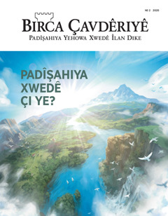 ‘Birca Çavdêriyê’ № 2 2020.